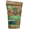 Take Out Seed Brassica Blend 1.5 lb